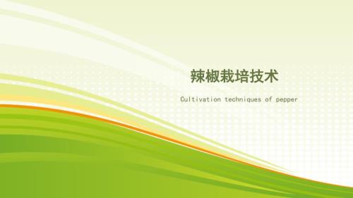 辣椒种植技术PPT课件.ppt
