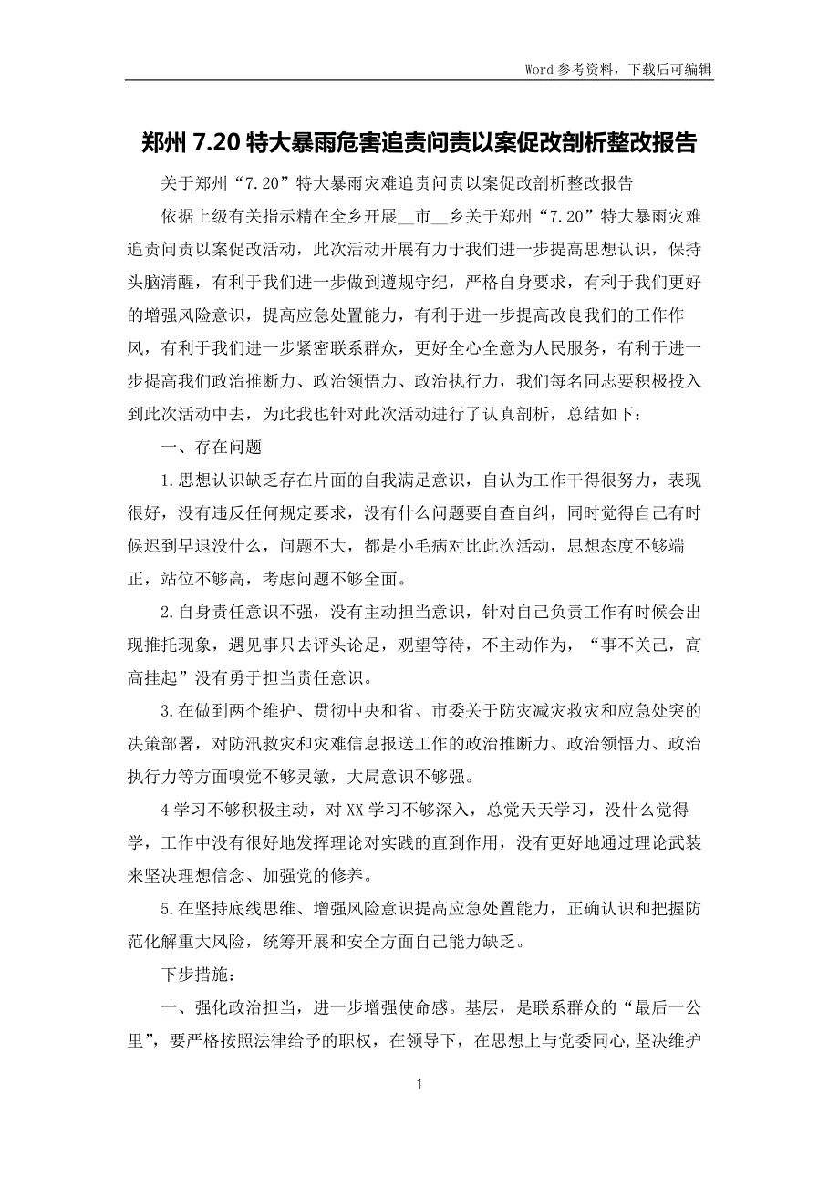 郑州7.20特大暴雨灾害追责问责以案促改剖析整改报告.docx_第1页