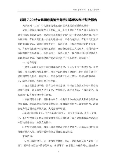 郑州7.20特大暴雨灾害追责问责以案促改剖析整改报告.docx