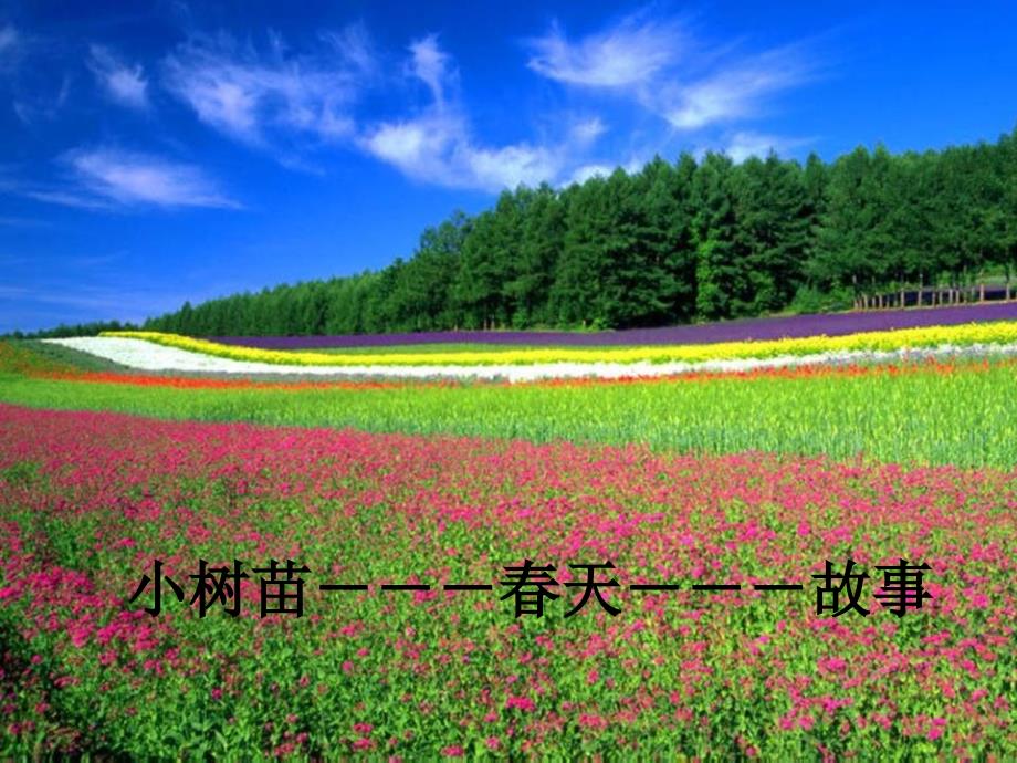 童心是小鸟课件.ppt_第3页