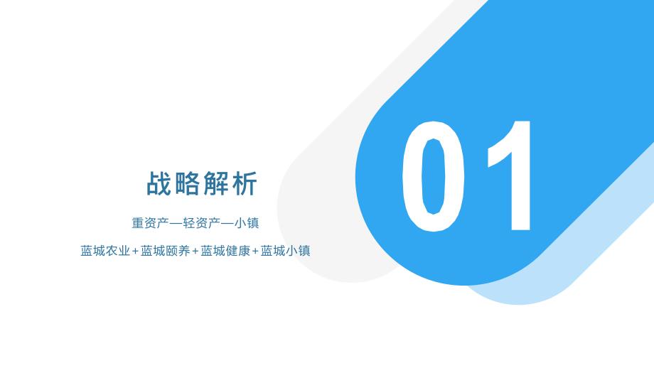 蓝城集团介绍.ppt_第3页