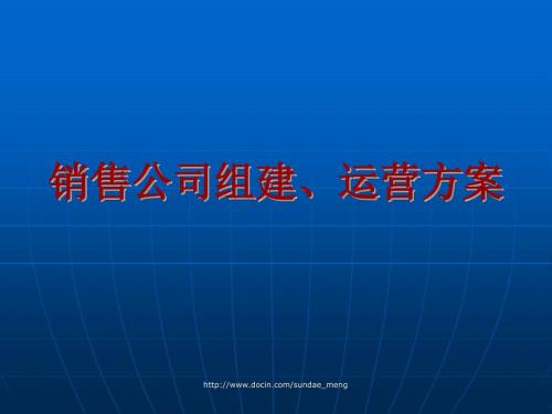 销售公司组建运营方案PPT.ppt