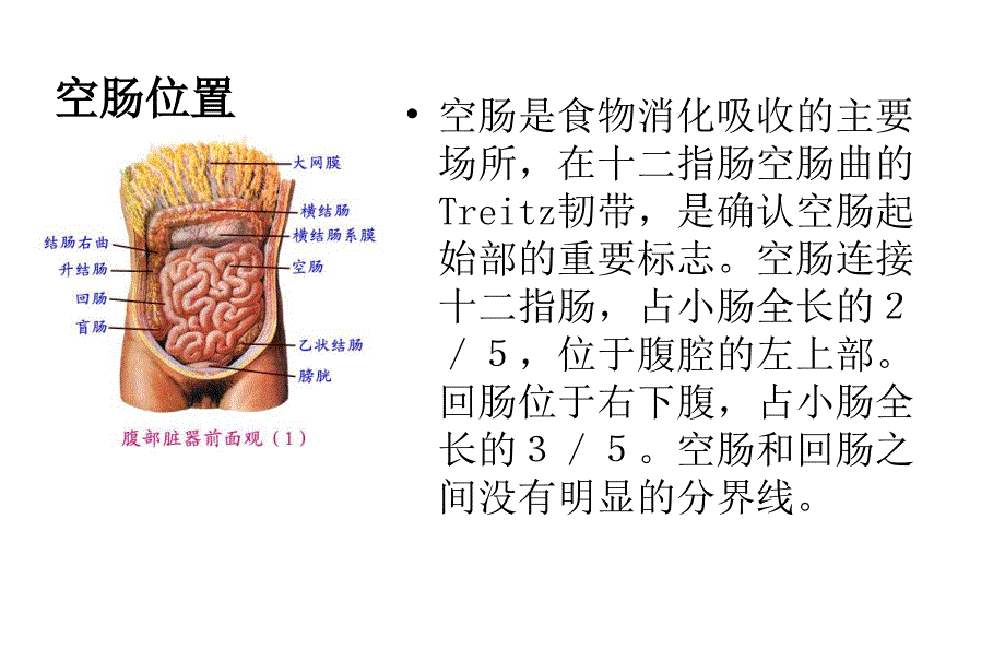 空肠营养管的护理完整版.ppt_第3页