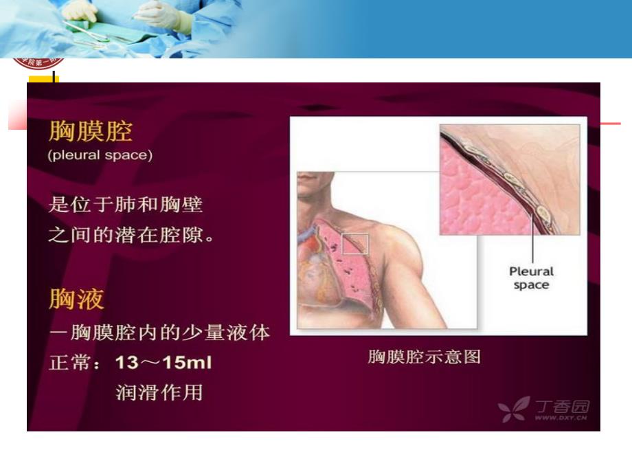 胸腔穿刺技能操作.ppt_第2页