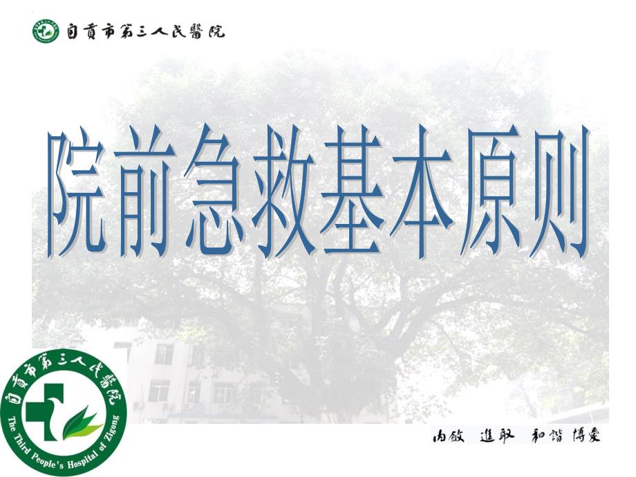 院前急救基本原则.ppt_第1页