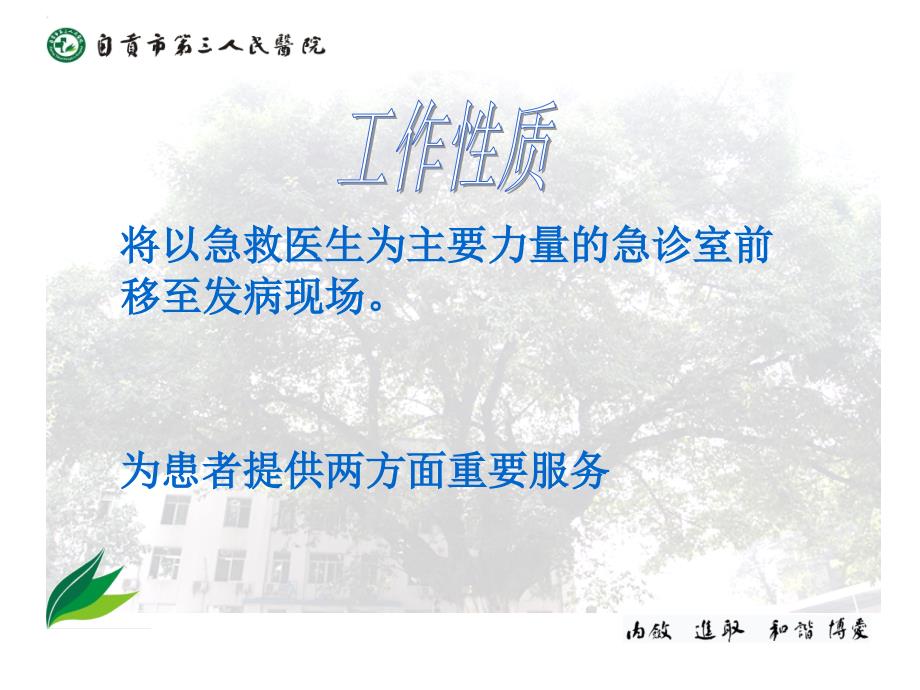 院前急救基本原则.ppt_第3页