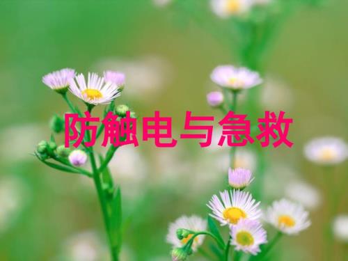防触电安全教育PPT课件.ppt