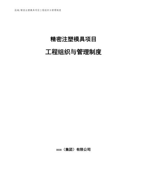 精密注塑模具项目工程组织与管理制度范文.docx
