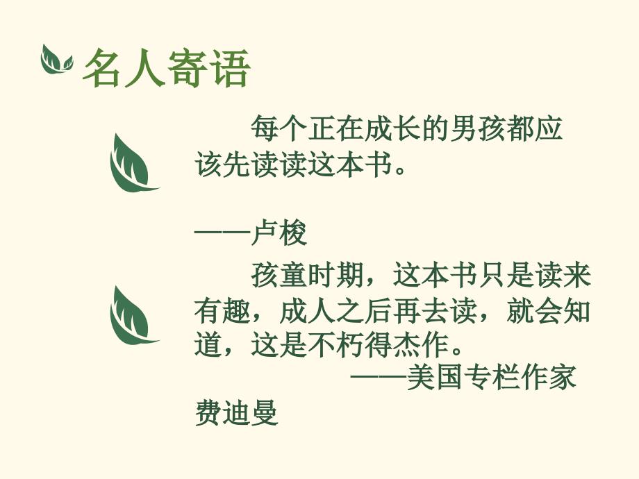 鲁滨逊漂流记PPT课件.pptx_第3页