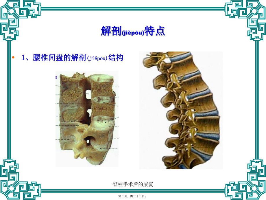 脊柱手术后的康复课件.ppt_第3页