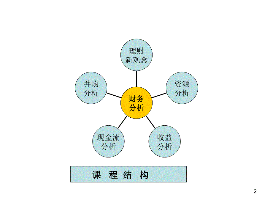首席财务官财务报表分析.pps_第2页