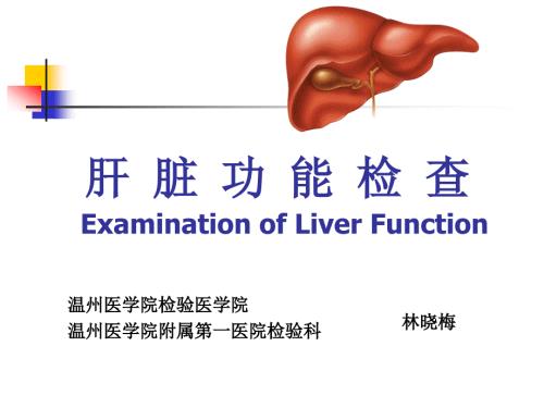 肝功能检查PPT课件.ppt