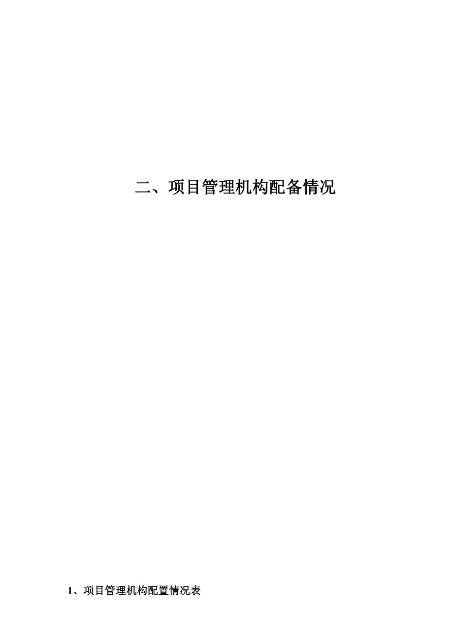 项目管理机构配备情况.doc_第1页