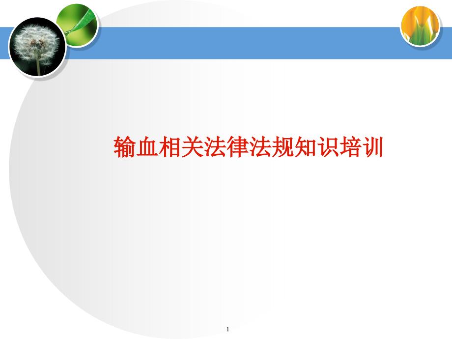 输血法律法规.ppt_第1页