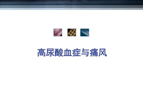 高尿酸血症与痛风课件.ppt