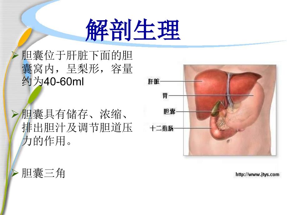 胆囊结石的护理资料课件.ppt_第2页