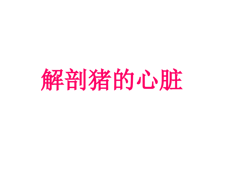 科学解剖猪心脏.ppt_第1页