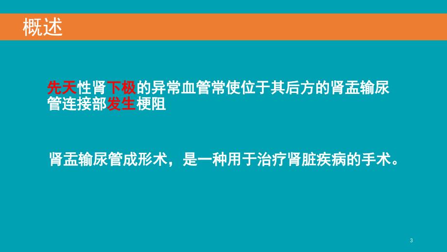 腹腔镜下肾盂输尿管成形术PPT.pptx_第3页