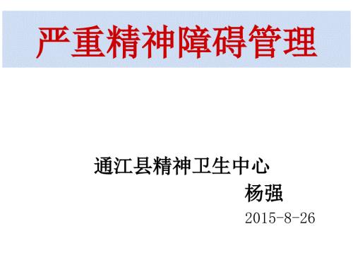重型精神障碍管理管理.ppt