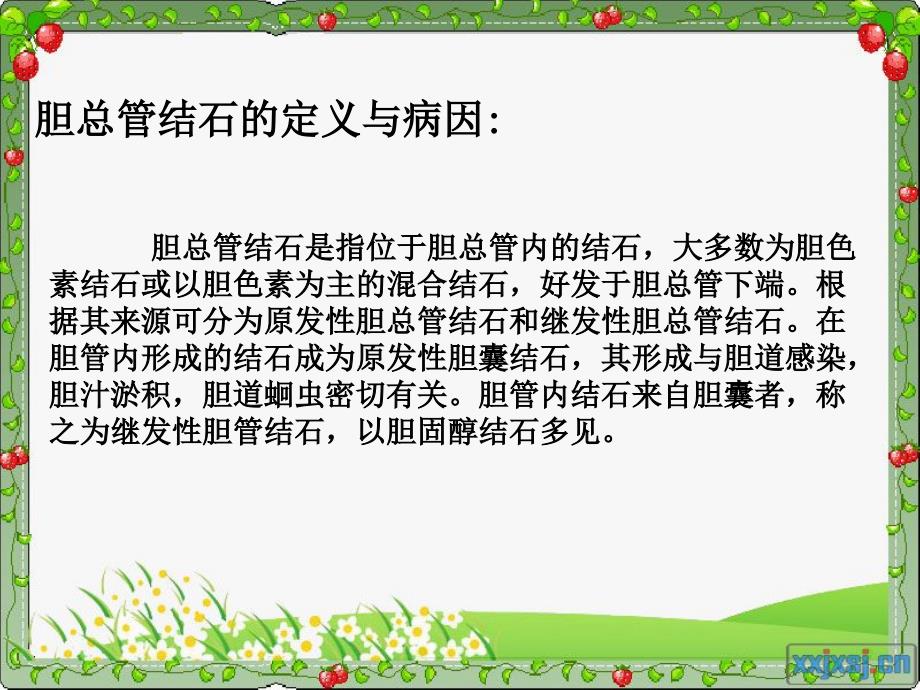 胆总管结石术后护理PPT课件.ppt_第3页