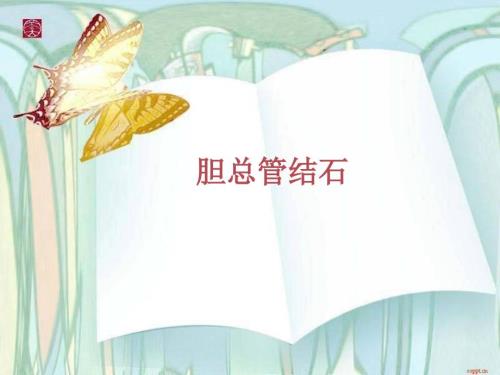 胆总管结石术后护理PPT课件.ppt