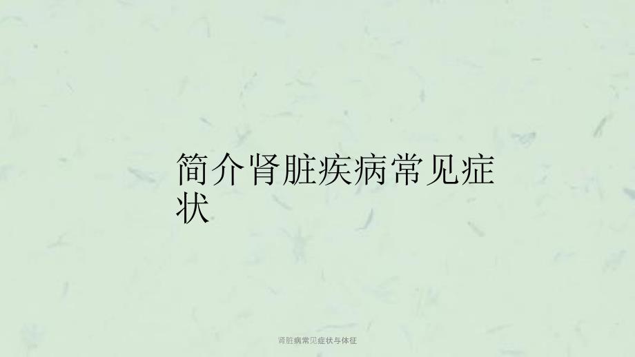 肾脏病常见症状与体征课件.ppt_第1页