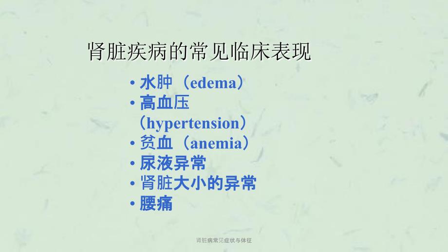 肾脏病常见症状与体征课件.ppt_第2页