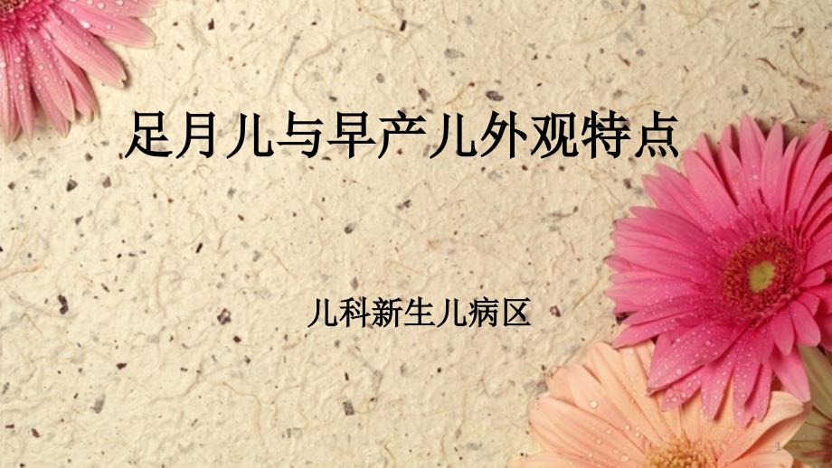 足月儿与早产儿的外观特点ppt课件.ppt_第1页