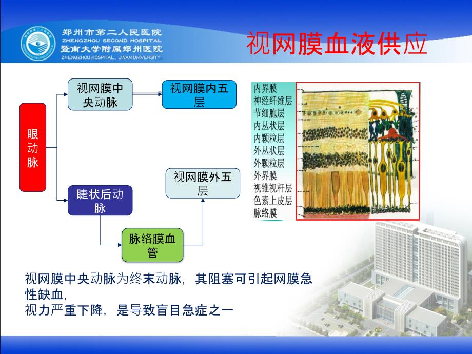 视网膜中央动脉阻塞课件.ppt_第3页