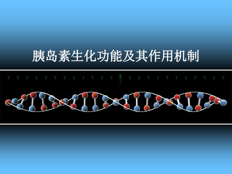 胰岛素生化功能及作用机制.ppt_第1页