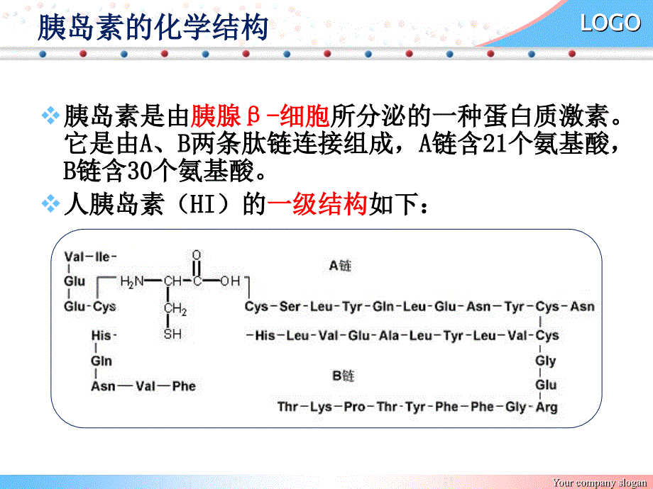 胰岛素生化功能及作用机制.ppt_第3页