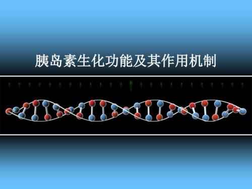 胰岛素生化功能及作用机制.ppt
