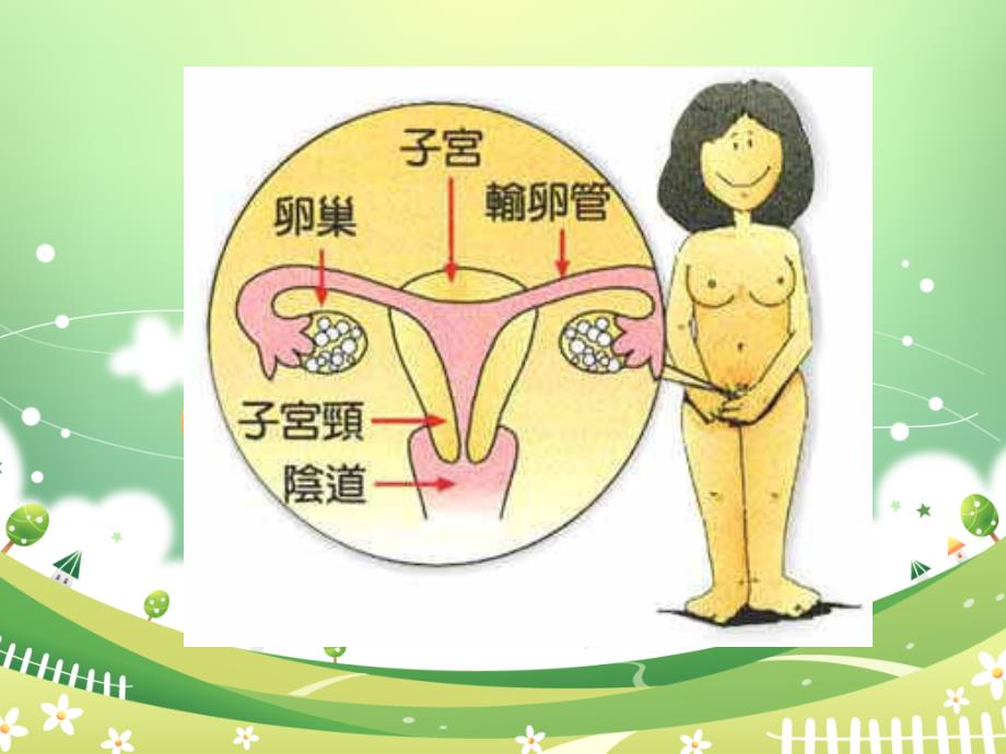 经腹腔镜下全子宫切除手术配合护理PPT演示课件.ppt_第3页
