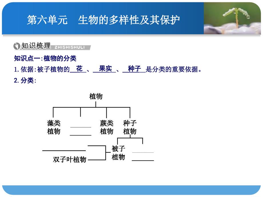 第十七讲生物的多样性及其保护.ppt_第2页