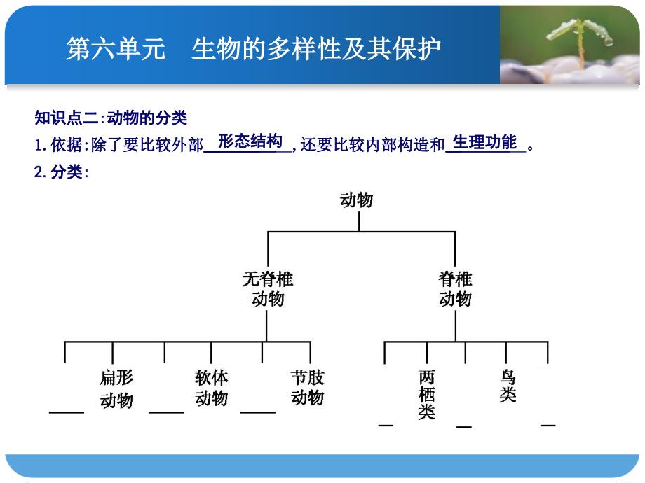 第十七讲生物的多样性及其保护.ppt_第3页