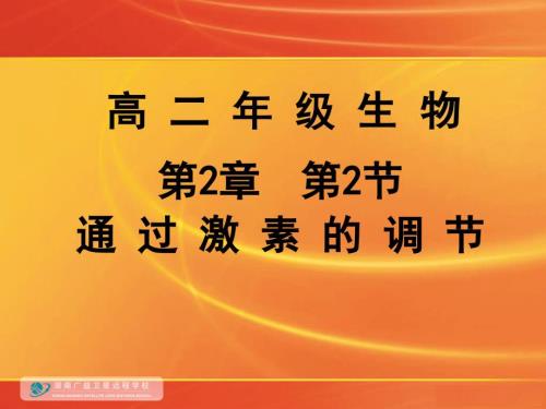 血糖平衡的调节课件.ppt