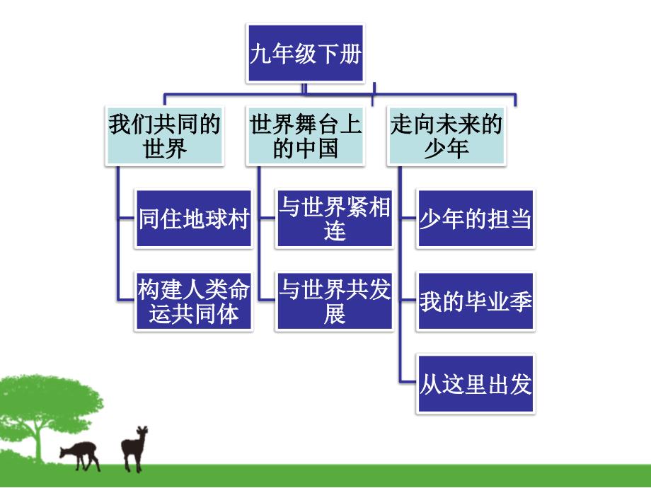 部编人教版道德与法治九年级下册教材分析ppt课件.pptx_第2页