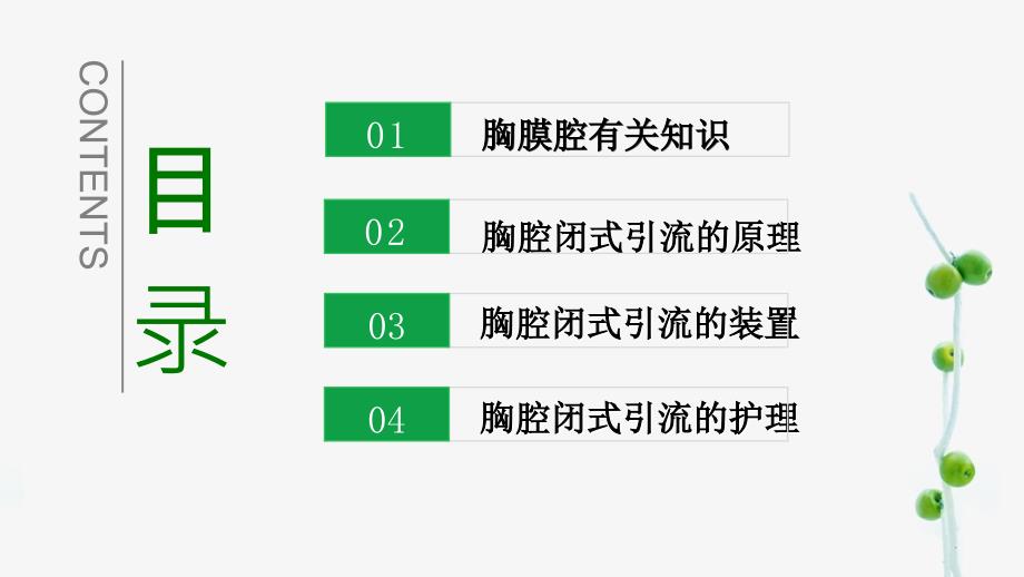 胸腔闭式引流及护理讲课.ppt_第2页