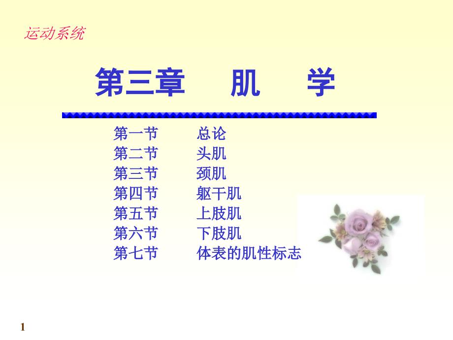 运动解剖学第6次课肌学PPT.ppt_第1页