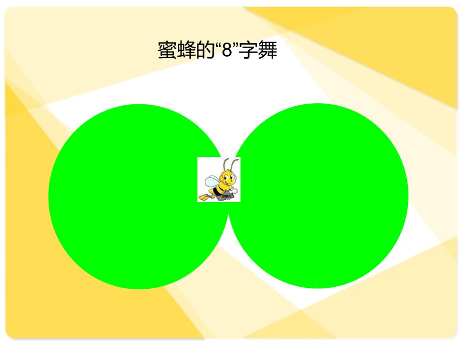 蜜蜂的舞蹈语言PPT优秀课件.ppt_第2页