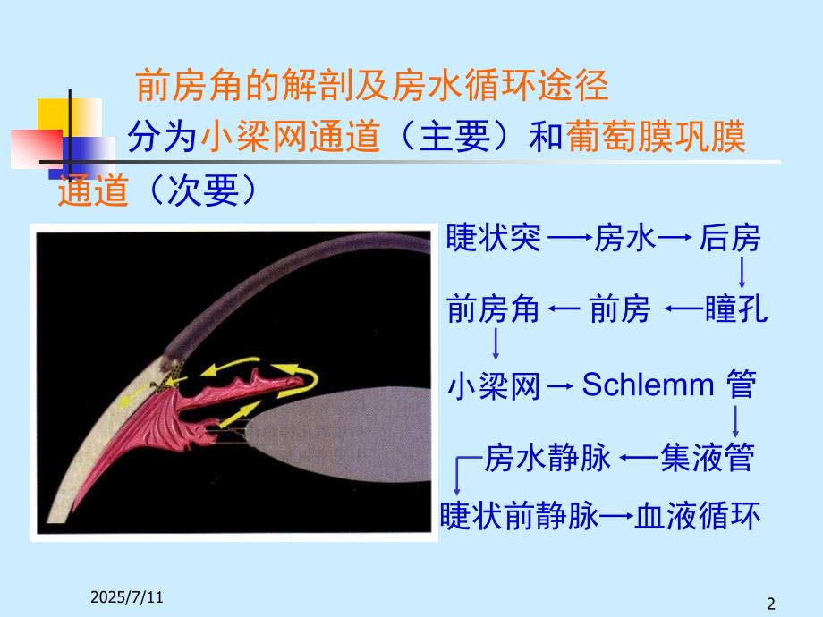 青光眼ppt课件.ppt_第2页