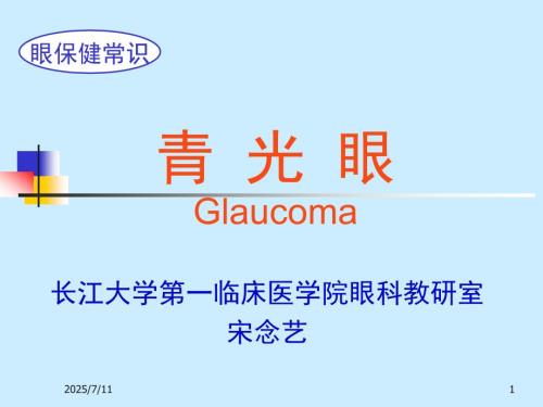 青光眼ppt课件.ppt