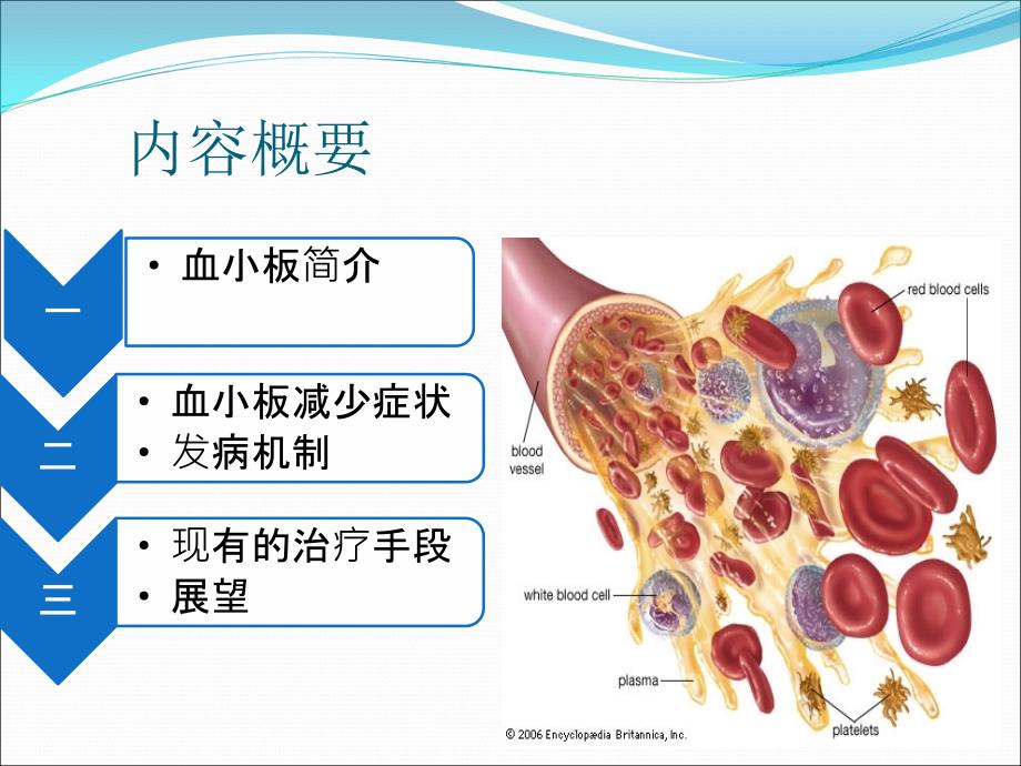 血小板减少症PPT课件.ppt_第2页