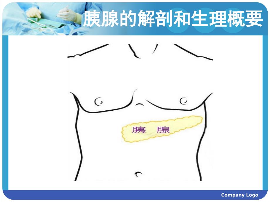 胰头癌护理查房PPT课件.ppt_第2页