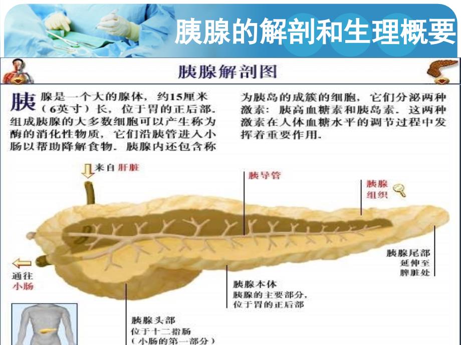 胰头癌护理查房PPT课件.ppt_第3页