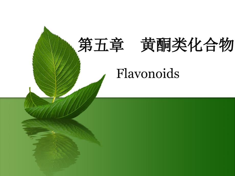 第五章黄酮类化合物课件.ppt_第1页