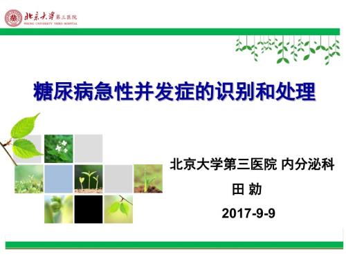 糖尿病急性并发症.ppt