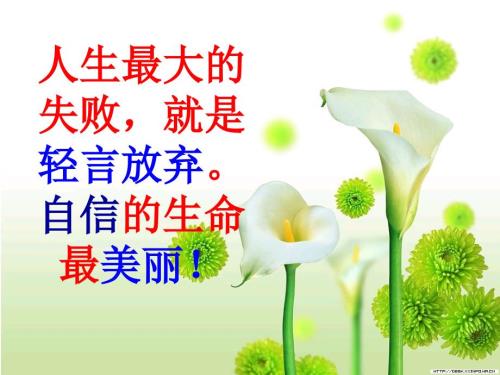 等式的性质课件.ppt