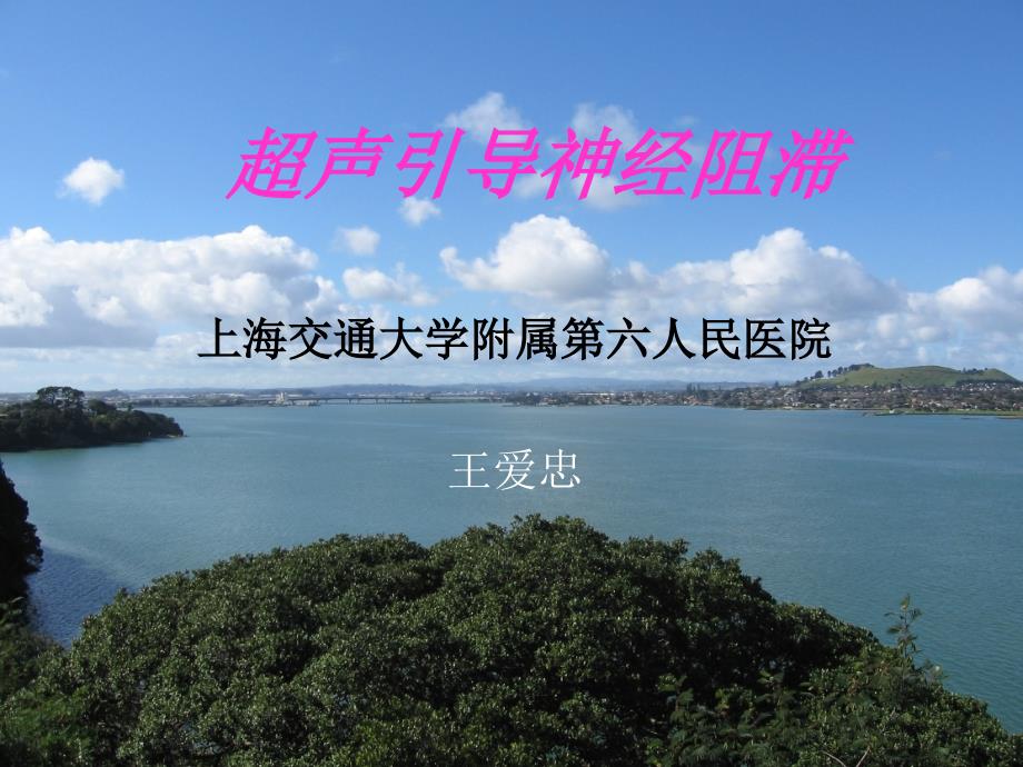 超声引导神经阻滞PPT.ppt_第1页