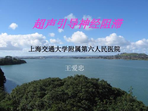 超声引导神经阻滞PPT.ppt